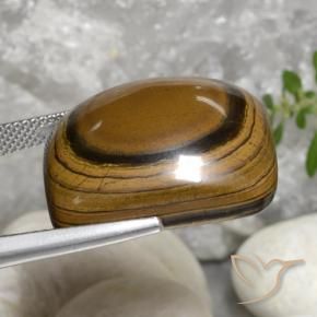 Œil de tigre Brun doré naturelle Coussin, 40.92 ct, Opaque