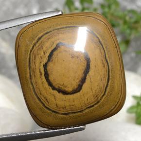 Tiger's eye marron naturelle coupe coussin, 23,77 ct, opaque
