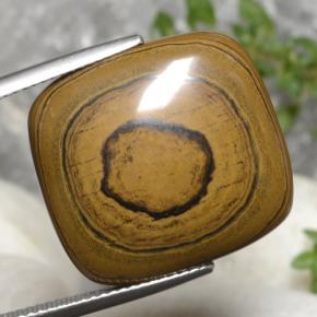 Tiger's eye marron naturelle coupe coussin, 23,77 ct, opaque