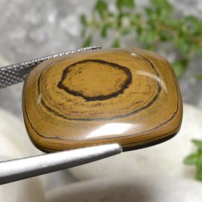 Tiger's eye marron naturelle coupe coussin, 23,77 ct, opaque