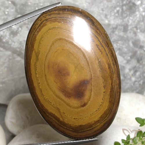 79.99ct Naturel Brun moyen-foncé Oeil de Tigre, ovale, Opaque