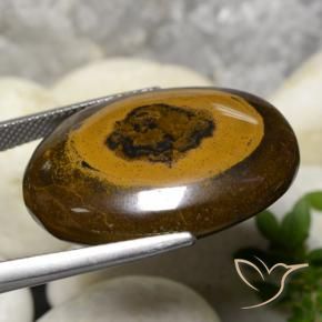 Œil de tigre Marron chaud naturelle ovale, 36.09 ct, Opaque
