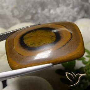 Œil de tigre Brun naturelle Coussin, 42.78 ct, Opaque