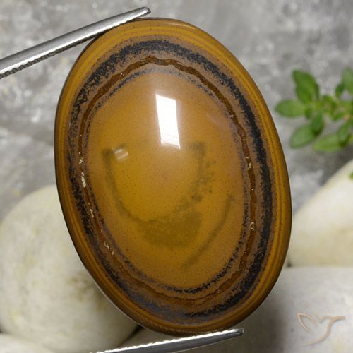 59.70ct Naturel Brun moyen-foncé Oeil de Tigre, ovale, Opaque