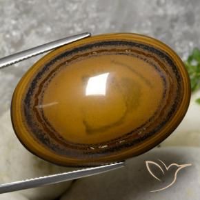Œil de tigre Brun moyen-foncé naturelle ovale, 59.70 ct, Opaque