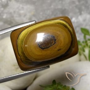 Œil de tigre Brun moyen naturelle Coussin, 31.07 ct, Opaque