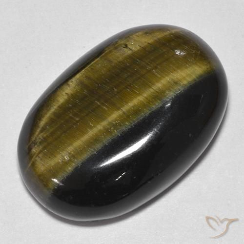 19.25ct Naturel Or Brun Œil de tigre, ovale, Opaque