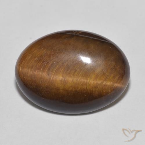 9.26ct Naturel Brun moyen Œil de tigre, ovale, Opaque