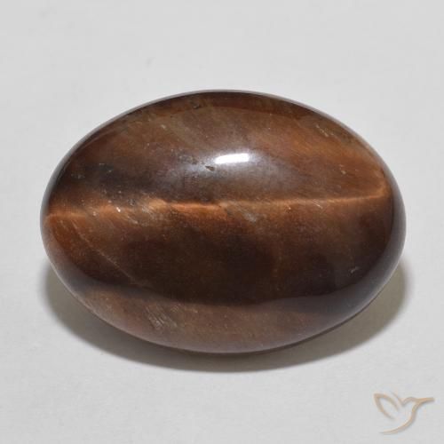 10.01ct Naturel Brun rougeâtre Œil de tigre, ovale, Opaque
