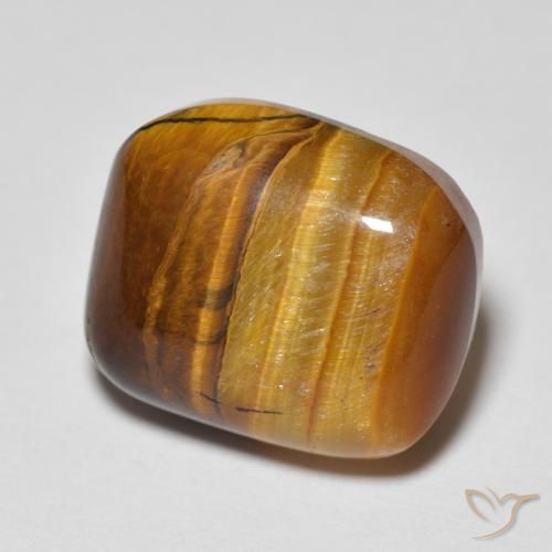 8.23ct Naturel Marron chaud Œil de tigre, Coussin, Opaque