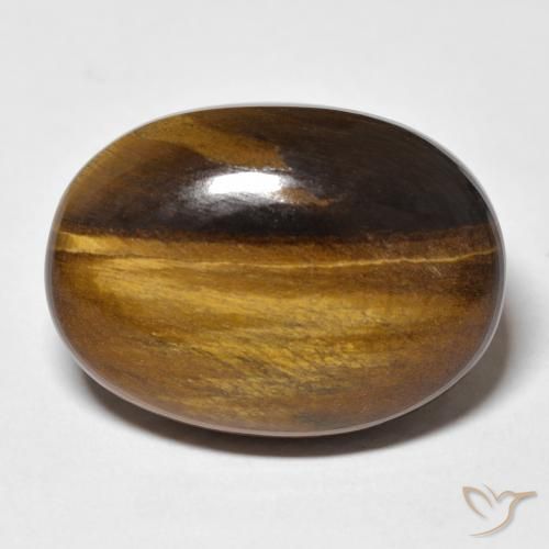 26.42ct Naturel Brun moyen Œil de tigre, ovale, Opaque