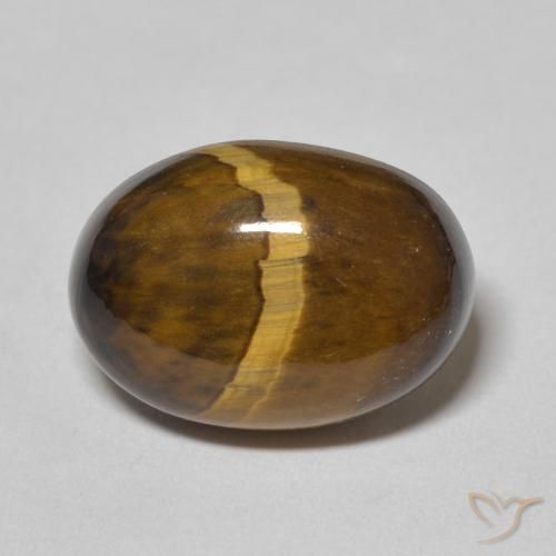 5.85ct Naturel Brun doré Œil de tigre, ovale, Opaque