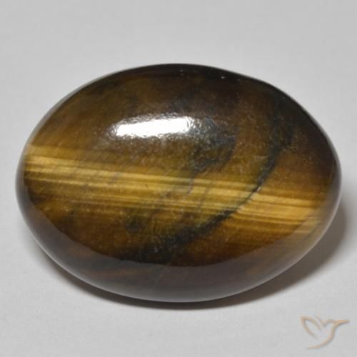 24.06ct Naturel Marron chaud Œil de tigre, ovale, Opaque