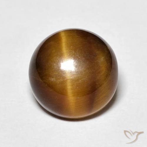 4.24ct Naturel Brun moyen Œil de tigre, Tour, Opaque
