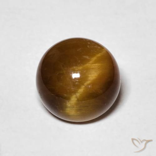 2.32ct Naturel Brun doré Œil de tigre, Tour, Opaque