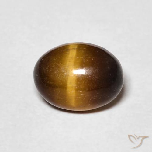 1.44ct Naturel Brun doré Œil de tigre, ovale, Opaque