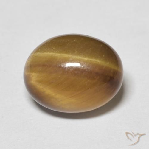 3.12ct Naturel Marron chaud Œil de tigre, ovale, Opaque