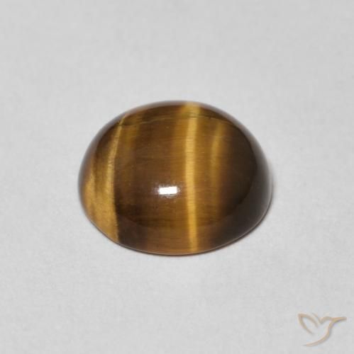Œil de tigre Marron jaunâtre naturelle Tour, 1.64 ct, Opaque