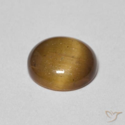 Œil de tigre Marron jaunâtre naturelle Tour, 1.54 ct, Opaque