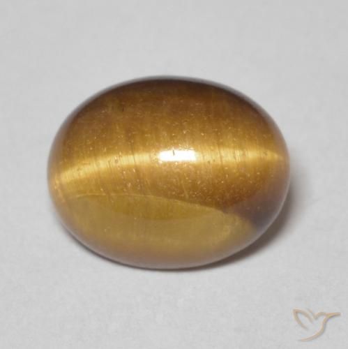 2.78ct Naturel Brun moyen Œil de tigre, ovale, Opaque