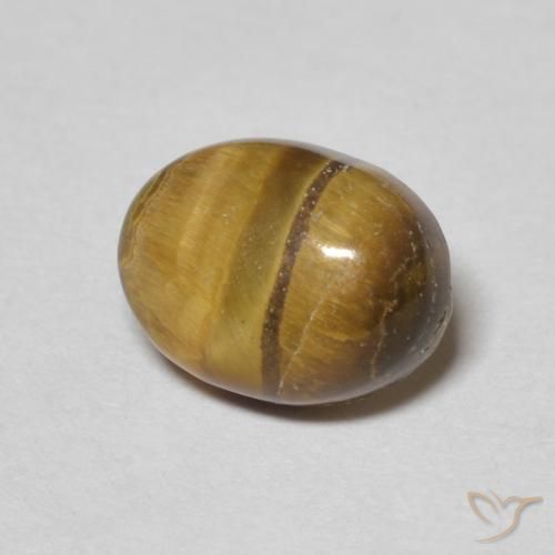 Œil de tigre Marron chaud naturelle ovale, 1.60 ct, Opaque