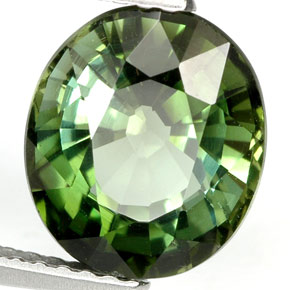 Tourmaline vert naturelle coupe ovale, 3,55 ct, VVS-VS