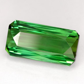 Tourmaline vert naturelle taille émeraude, 5,80 ct, VVS