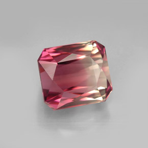 Tourmaline bicolore naturelle taille émeraude, 7,48 ct, VVS