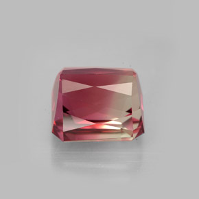 Tourmaline bicolore naturelle taille émeraude, 7,48 ct, VVS
