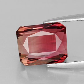 Tourmaline bicolore naturelle taille émeraude, 3,90 ct, VVS