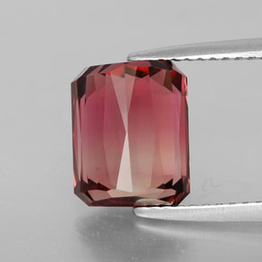 Tourmaline bicolore naturelle taille émeraude, 3,90 ct, VVS
