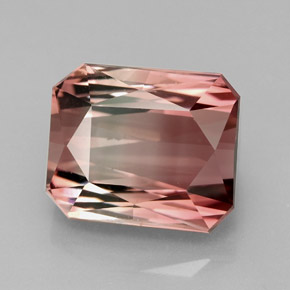 Tourmaline bicolore naturelle taille émeraude, 8,55 ct, IF