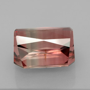 Tourmaline bicolore naturelle taille émeraude, 8,55 ct, IF