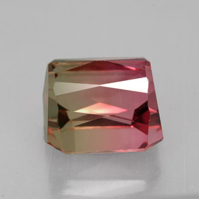Tourmaline bicolore naturelle taille émeraude, 7,51 ct, VS