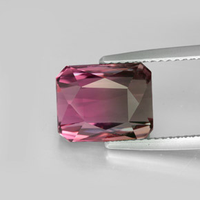 Tourmaline bicolore naturelle taille émeraude, 5,27 ct, VVS