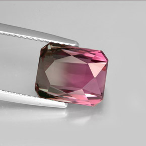 Tourmaline bicolore naturelle taille émeraude, 5,27 ct, VVS