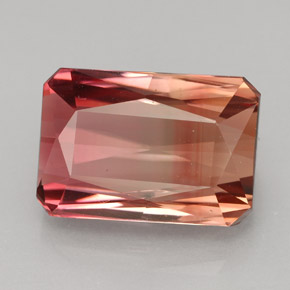 Tourmaline bicolore naturelle taille émeraude, 8,91 ct, VVS