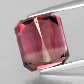 Tourmaline multicolore naturelle taille émeraude, 4,55 ct, VS