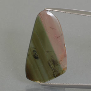Tourmaline multicolore naturelle forme fantaisie, 9,45 ct, transparent