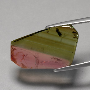 Tourmaline multicolore naturelle transparent, 12,07 ct, transparent / translucide