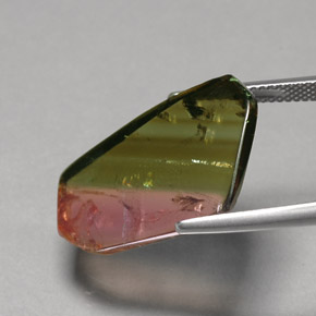 Tourmaline multicolore naturelle transparent, 12,07 ct, transparent / translucide