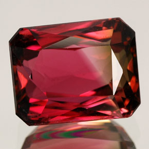 Tourmaline multicolore naturelle taille émeraude, 5,07 ct, VVS