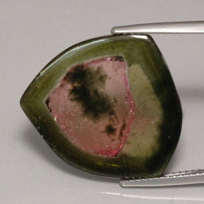 Tourmaline multicolore naturelle transparent, 12,35 ct, transparent / translucide
