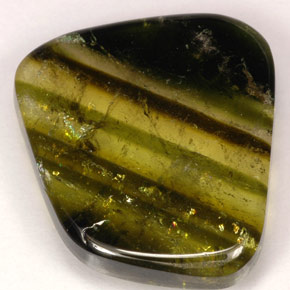 Tourmaline multicolore naturelle transparent, 9,21 ct, transparent / translucide