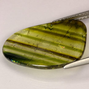 Tourmaline multicolore naturelle transparent, 4,72 ct, transparent / translucide