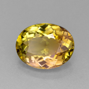Tourmaline multicolore naturelle coupe ovale, 3,67 ct, VVS