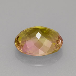 Tourmaline multicolore naturelle coupe ovale, 3,67 ct, VVS