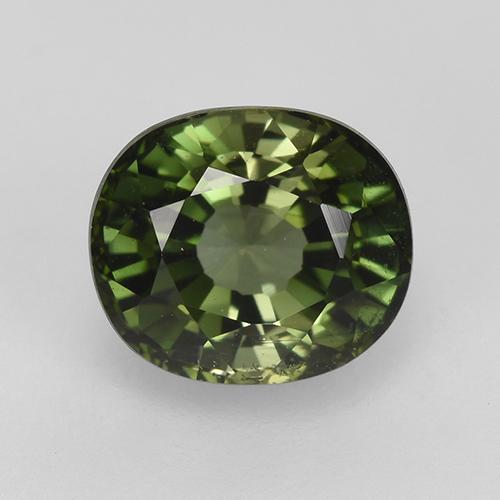 Tourmaline vert naturelle coupe ovale, 1,53 ct, VVS-VS