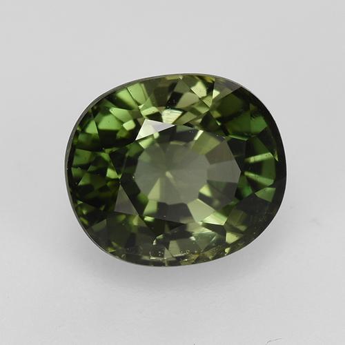 Tourmaline vert naturelle coupe ovale, 1,53 ct, VVS-VS