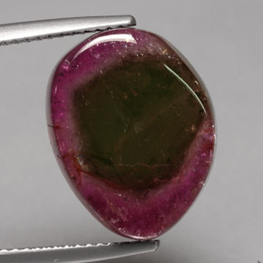 Tourmaline multicolore naturelle forme fantaisie, 10,19 ct, transparent